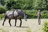 https://Polished Ponies