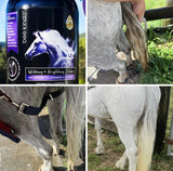 Bee Kind Natural Horse Whitening & Brightening Shampoo + Wash Bar & Soap Bag