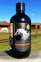 Bee Kind Activated Charcoal & Kakadu Plum Shampoo For Dark, Light & White Horses