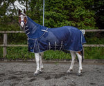 Whitaker Philip Blue fly rug