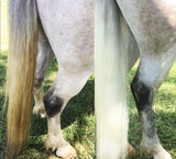 SHOWHITE Shampoo Toning Bar for HORSES