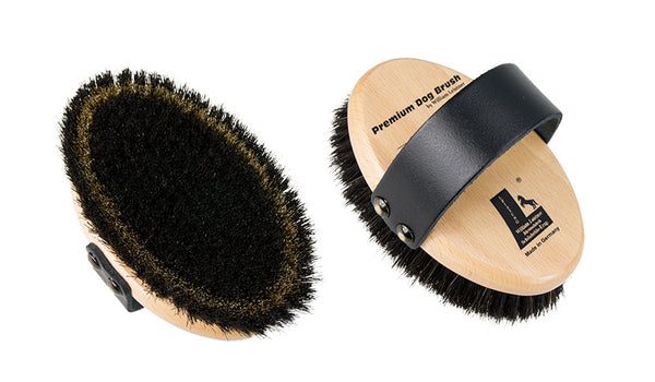 Leister Dog Brush - Brass and Horsehair