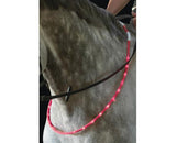 LED Horse Neck Collar
